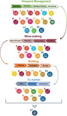 Strategies for achieving the sustainable development goals across the wine chain: a review